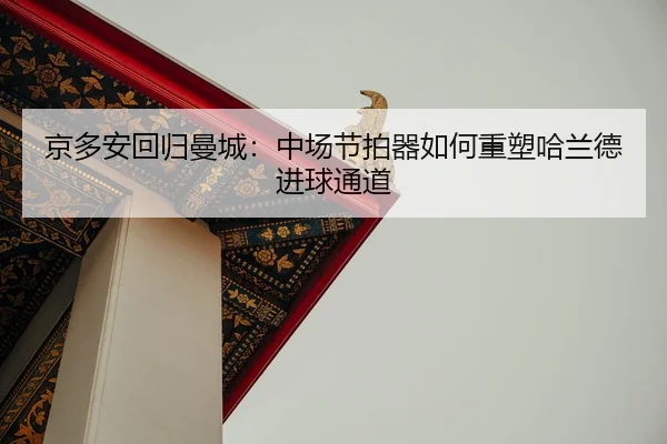 jing-duo-an-hui-gui-man-cheng-zhong-chang-jie-pai-qi-ru-he-zhong-su-ha-lan-de-jin-qiu-tong-dao-2-275.jpg