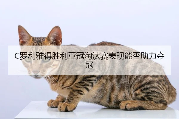 C罗利雅得胜利亚冠淘汰赛表现能否助力夺冠