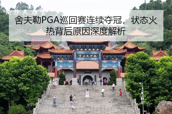 she-fu-lei-xun-hui-sai-lian-xu-duo-guan-zhuang-tai-huo-re-bei-hou-yuan-yin-shen-du-jie-xi-2-459.jpg