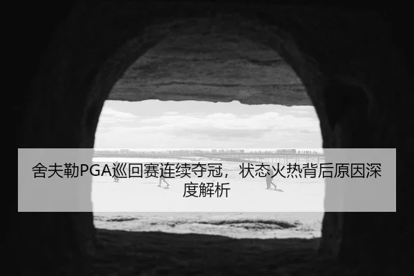 舍夫勒PGA巡回赛连续夺冠，状态火热背后原因深度解析